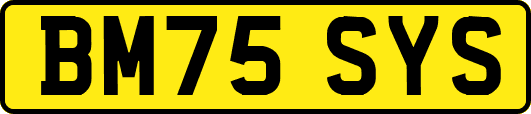 BM75SYS