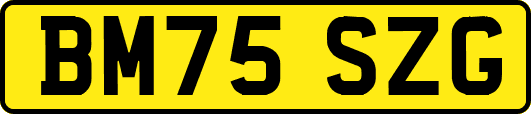BM75SZG