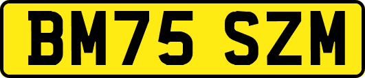 BM75SZM