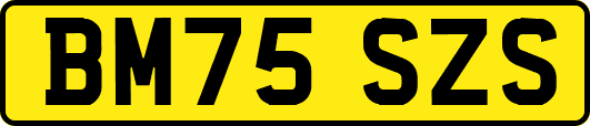 BM75SZS