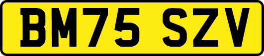 BM75SZV