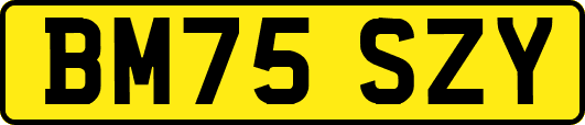 BM75SZY
