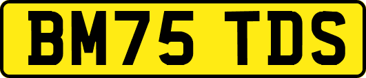 BM75TDS