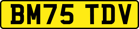 BM75TDV
