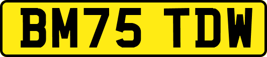 BM75TDW