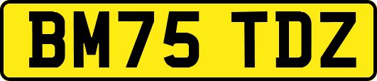 BM75TDZ
