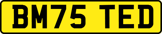 BM75TED