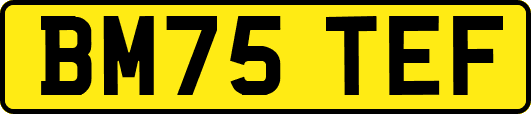 BM75TEF