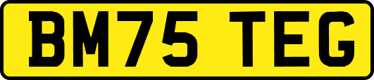 BM75TEG