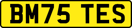 BM75TES
