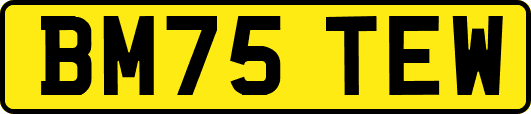 BM75TEW
