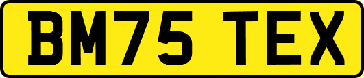 BM75TEX