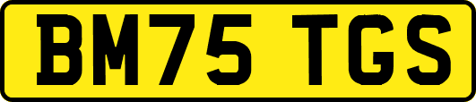 BM75TGS