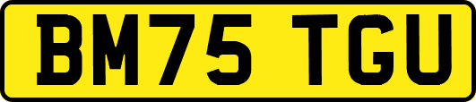 BM75TGU