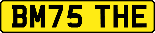 BM75THE