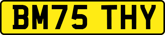 BM75THY