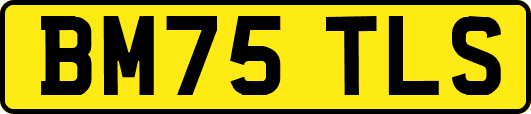 BM75TLS