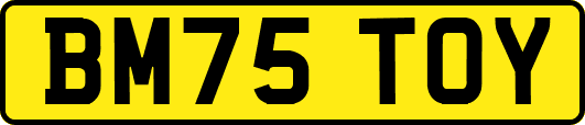 BM75TOY