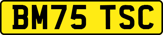BM75TSC