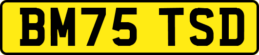 BM75TSD