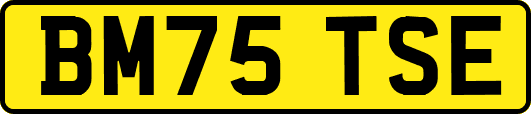 BM75TSE