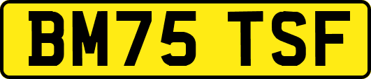 BM75TSF