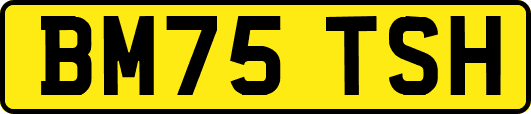 BM75TSH