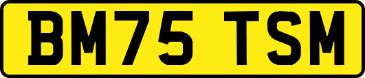 BM75TSM