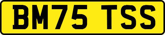 BM75TSS