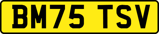 BM75TSV
