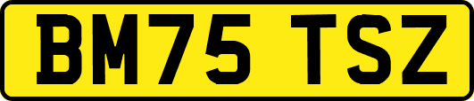 BM75TSZ