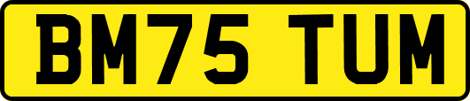 BM75TUM