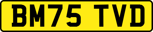 BM75TVD