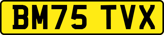 BM75TVX