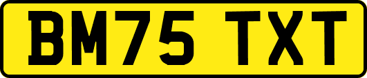 BM75TXT