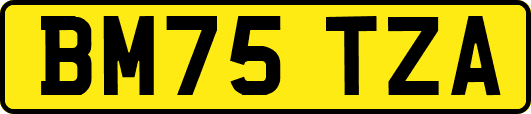BM75TZA