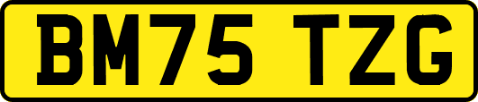 BM75TZG