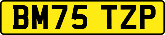 BM75TZP
