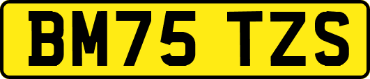 BM75TZS