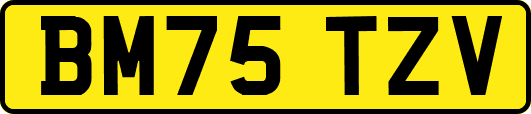 BM75TZV