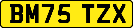 BM75TZX
