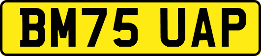 BM75UAP
