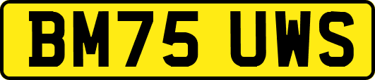 BM75UWS
