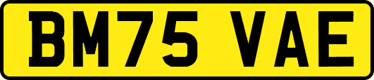 BM75VAE