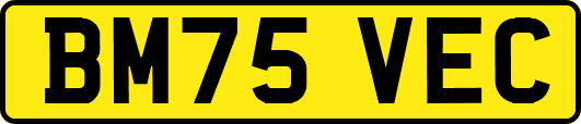 BM75VEC