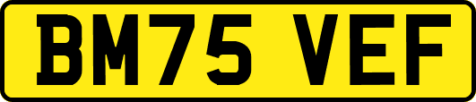 BM75VEF