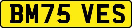 BM75VES