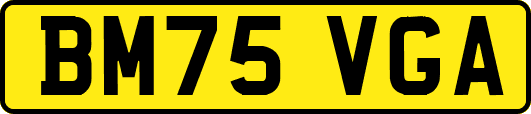 BM75VGA