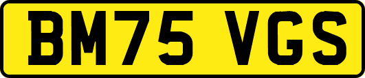 BM75VGS