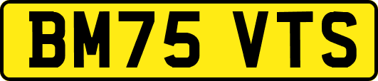 BM75VTS